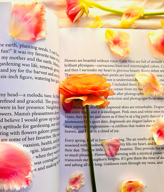 Excerpt Gratitude with flowers on the books pages